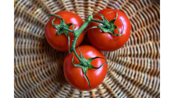 Three tomatoes on a wicker plate