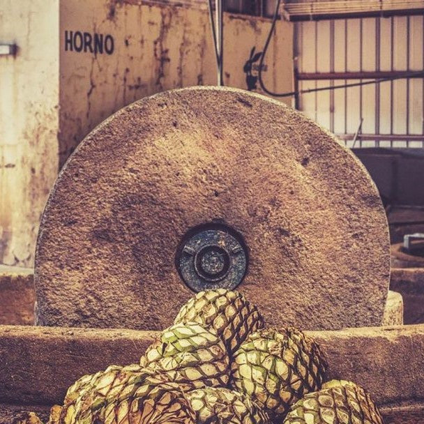 Educational Tasting: Tequila: Process Matters & You Can Taste It! (7:30PM Friday, August 8th, 2025)