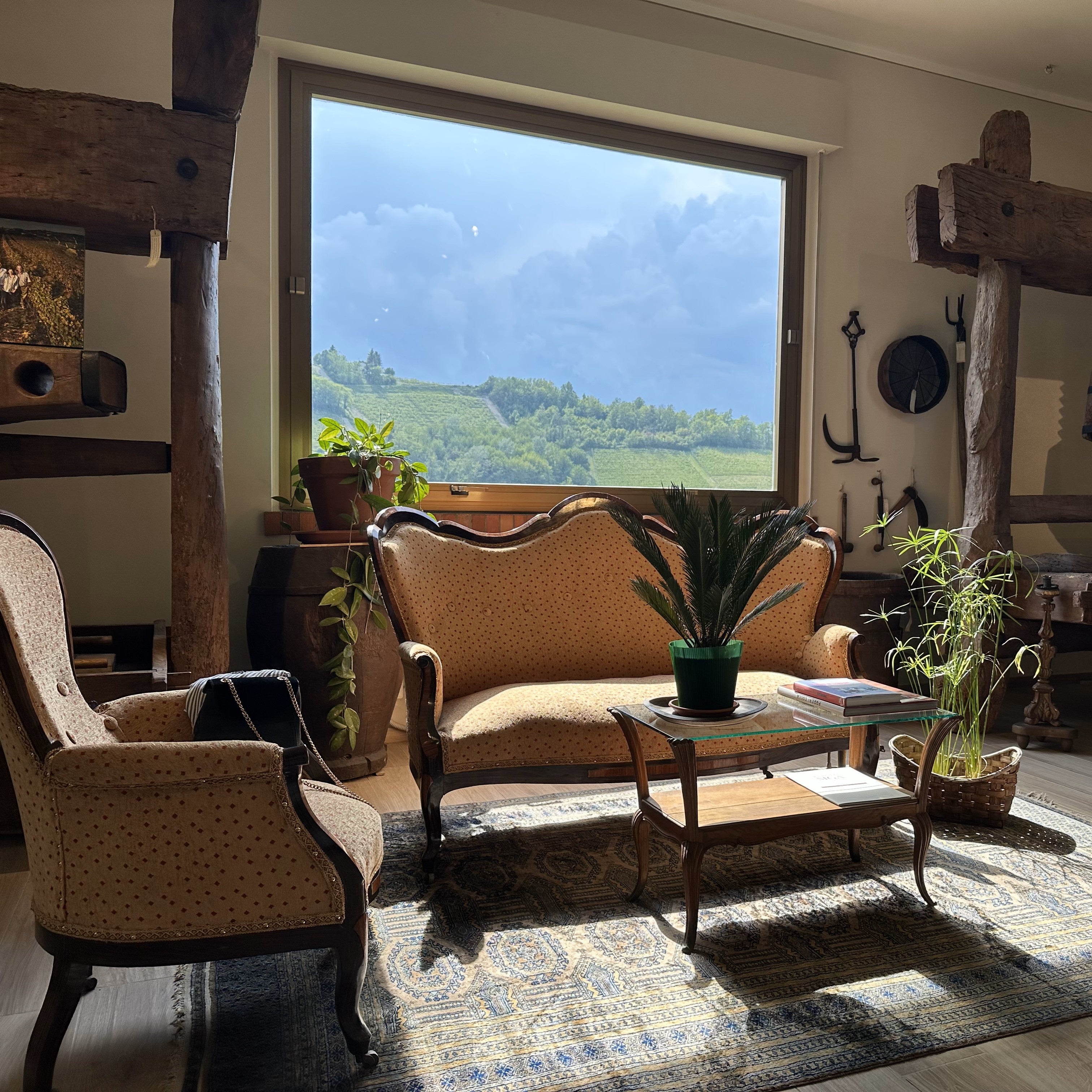 Educational Tasting: Piemontese Wine Grapes 101: 8plus wines, 7plus grapes (7PM, Wednesday, April 16th, 2025)