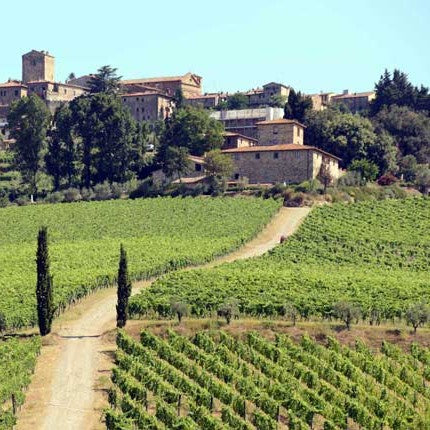 Educational Tasting: The Wines of Tuscany 8plus wines, 5plus grapes (7PM, Wednesday, June 11th, 2025)