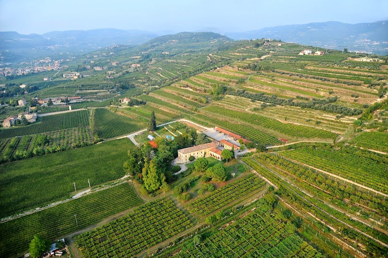 Educational Tasting: Understanding Italian Wine Series: Veneto: 9+ wines (7pm, Wednesday April 22nd, 2026)