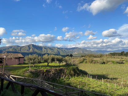 Educational Tasting: The Grapes of Sicily 8plus wines, 7plus grapes (7PM, Wednesday, May 28th, 2025)