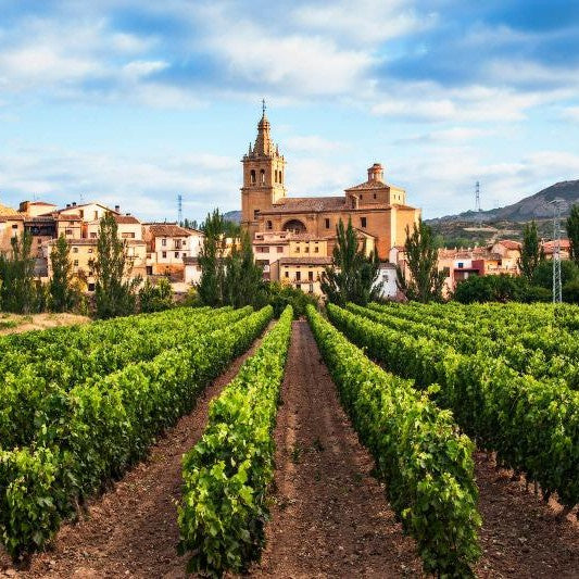 Educational Tasting: Spanish Wine Grapes 101: 7plus wines, 5plus grapes, 6plus regions (7PM, Wednesday, March 26th, 2025)