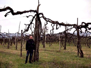Educational Tasting: Benchmark Wineries: 7plus wines, (7PM, Saturday May 10th, 2025)