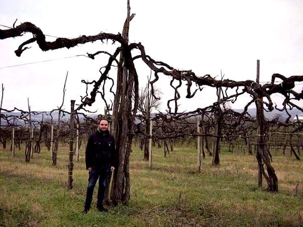 Educational Tasting: Benchmark Wineries: 7plus wines, (7PM, Saturday May 10th, 2025)