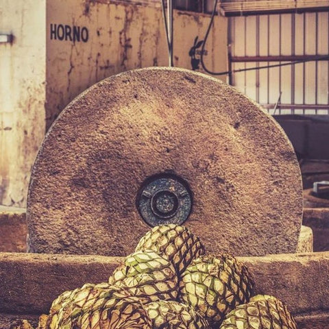 Educational Tasting: Tequila: Process Matters & You Can Taste It! (7:30PM Friday, August 8th, 2025)