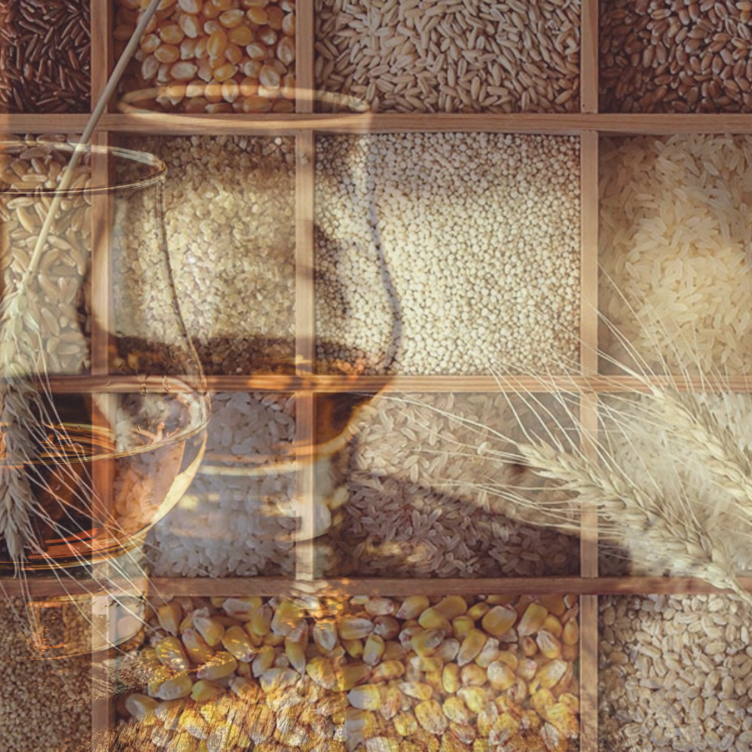 Educational Tasting: Understanding Mashbills: Domestic Whiskey (TBD, 2025)