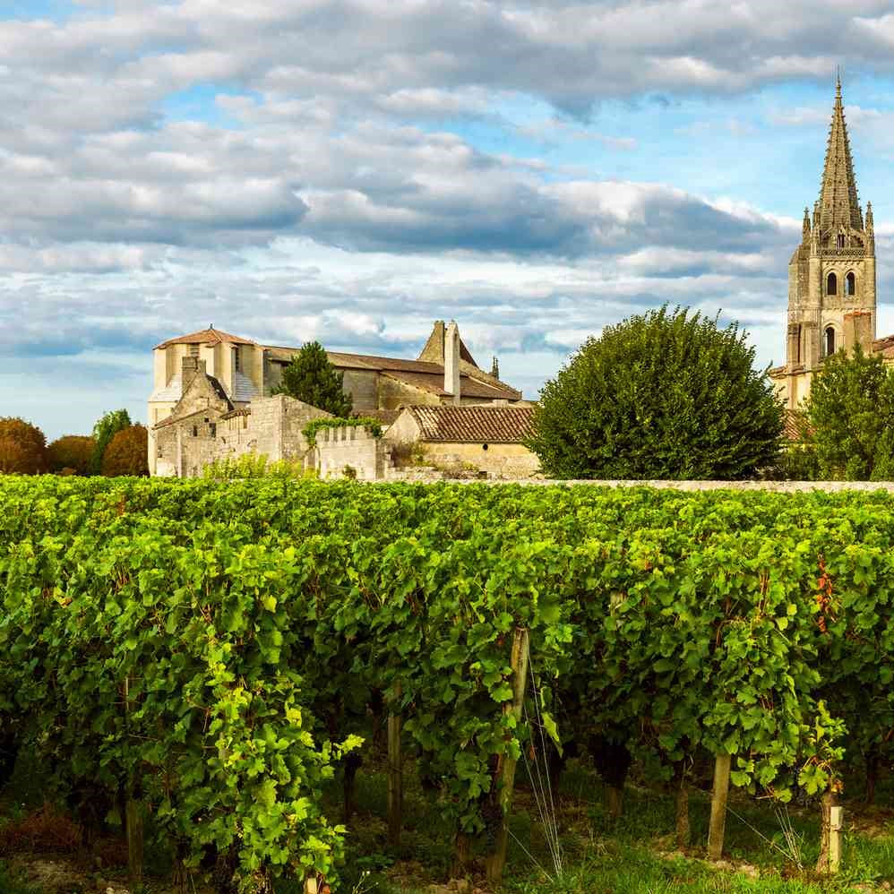 Educational Tasting: The Lesser Known French Grapes: 8plus wines, 6plus grapes (7PM, Wednesday, August 13th, 2025)