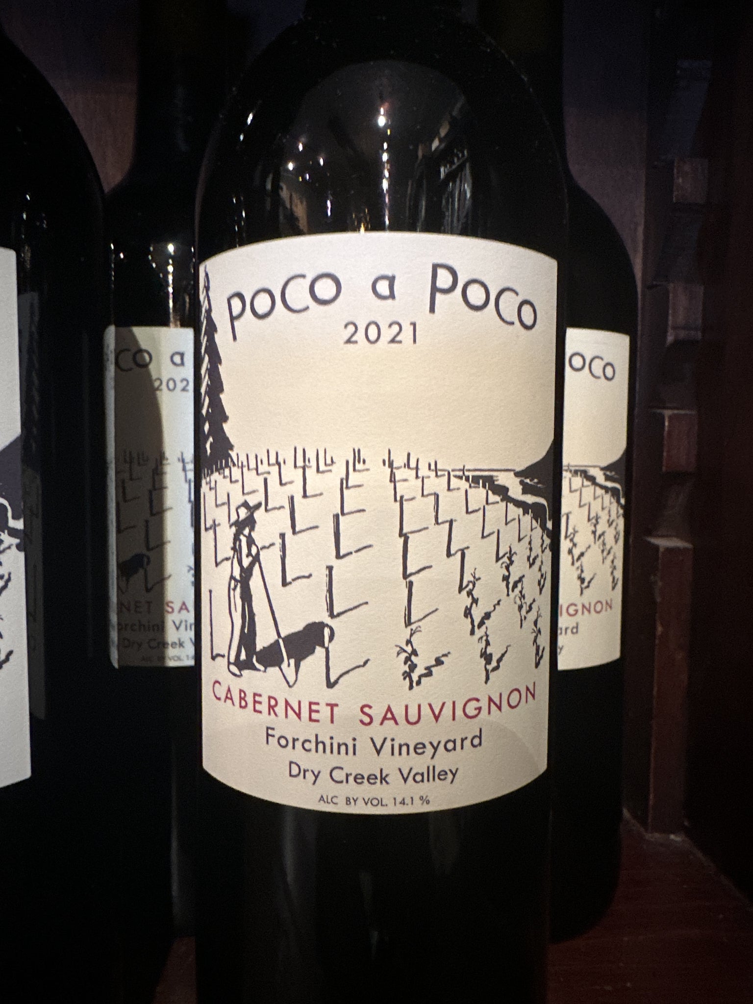 2021 Poco a Poco Cabernet Sauvignon