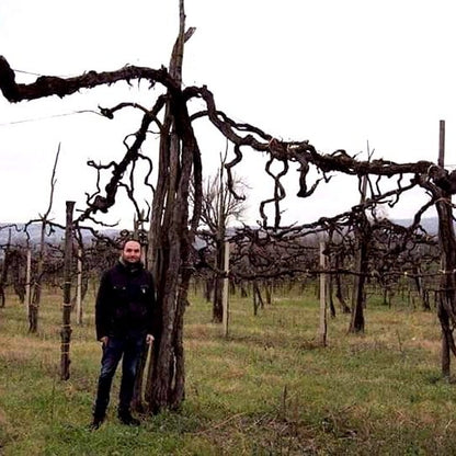 Educational Tasting: Benchmark Wineries: 7plus wines, (7PM, Saturday May 10th, 2025)